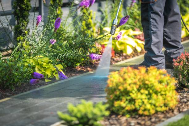 Professional Pressure Washing Services in Mountain View, AR